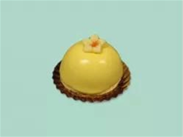 Zwitsers advocaat